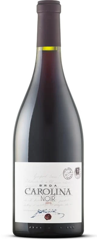 2016 | Kmetija Jakoncic | Carolina Noir - Vino