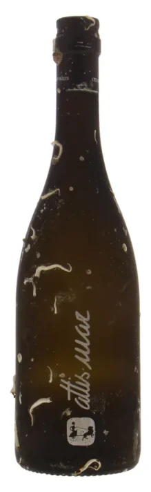 2021 | Attis | Mar Albarino - Wine