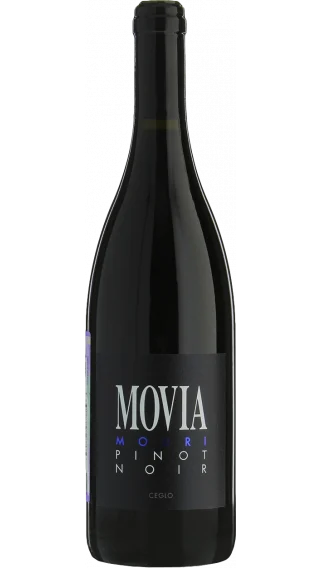 2013 | Movia | Modri Pinot Noir - Wine