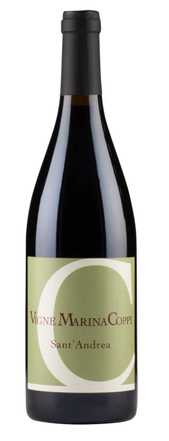 2020 | Vigne Marina Coppi | Sant Andrea Barbera - Wine