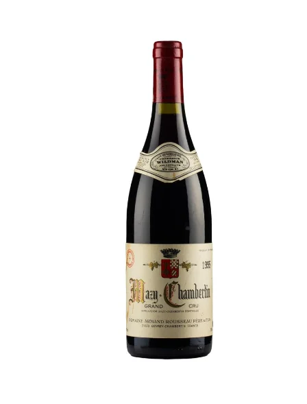 1995 | Domaine Armand Rousseau | Mazy Chambertin - Wine