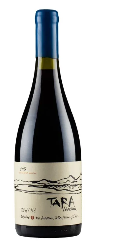 2019 | Ventisquero | Tara Pinot Noir - Wine