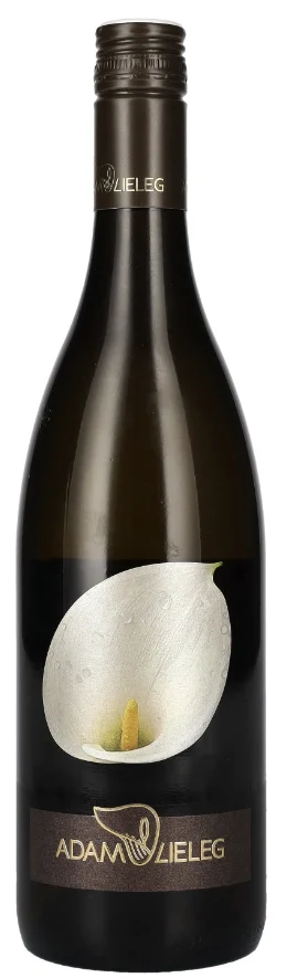 2021 | Weingut Familie Adam-Lielig | Muscaris Arumlilie