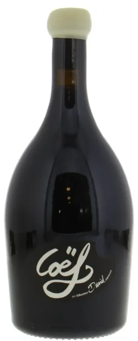 2020 | Domaine Sébastien David | Bourgueil Coeff - Vino