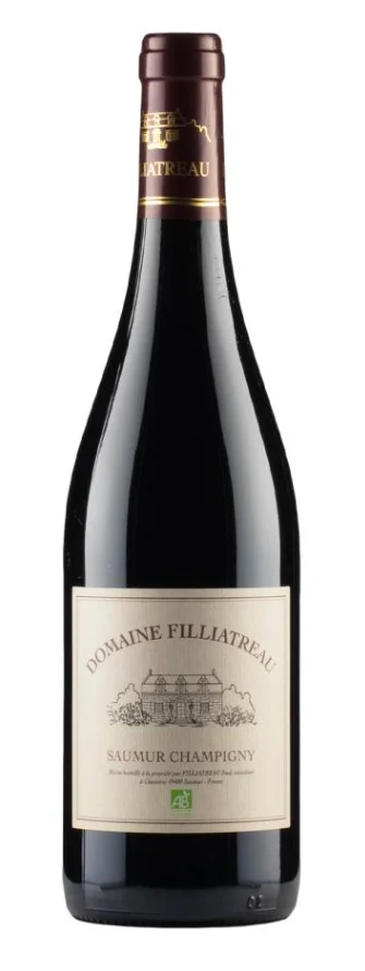 2020 | Domaine Filliatreau | Saumur Champigny - Wine