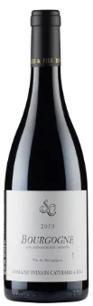 2019 | Sylvain Cathiard | Bourgogne Rouge - Wine