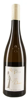2015 | Domaine de Rocheville | Saumur Blanc La Dame - Vino