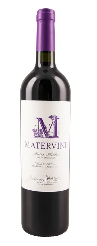 2017 | Matervini | Antes Andes Vina Canota Malbec - Vino