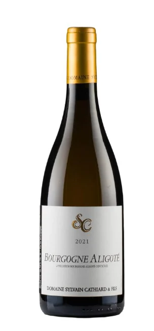 2021 | Sylvain Cathiard | Bourgogne Aligote - Wine