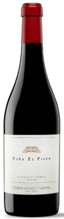 2017 | Artadi | Vina El Pison - Vino