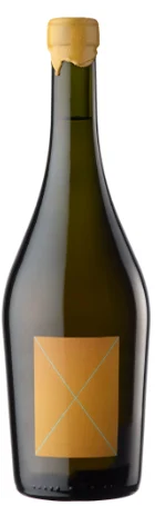2019 | Viñedos Ernesto Catena | Stella Crinita Barbera - Vino