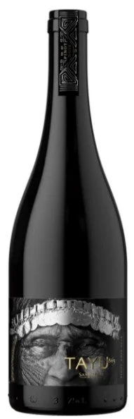 2020 | Viña San Pedro | Tayu 1865 Pinot Noir - Wine