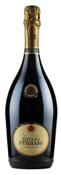 1995 | Ferrari | Giulio Ferrari Riserva - Wine