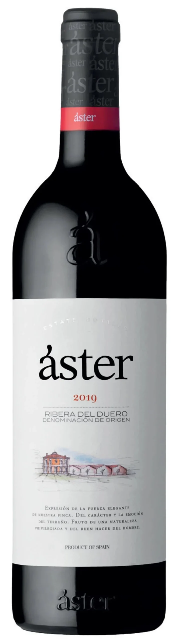 2019 | Bodegas Aster | Ribera del Duero - Wine
