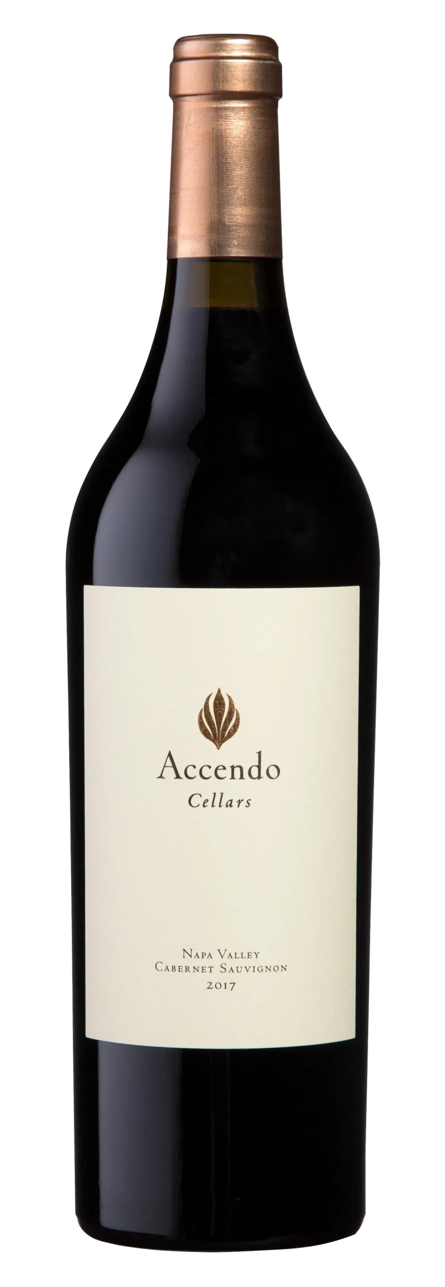 2017 | Accendo Bodegas | Cabernet Sauvignon - Vino