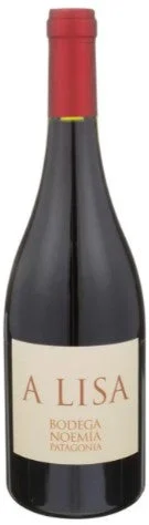 2020 | Bodega Noemia de Patagonia | A Lisa - Wine