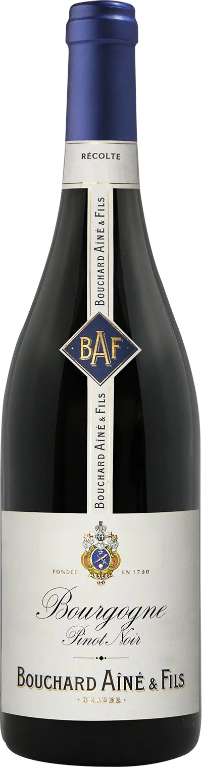 Bouchard Aîné & Fils | Borgoña Pinot Noir - NV
