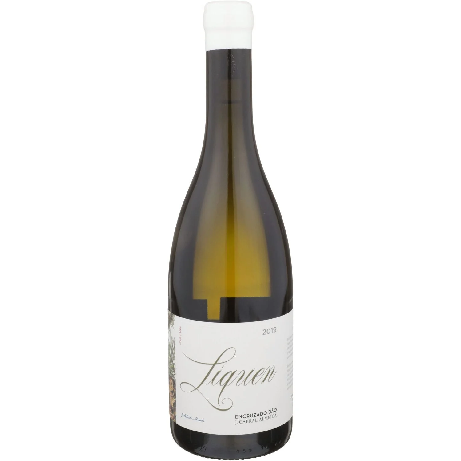 2019 | Joao Cabral Almeida | Liquen Encruzado - Wine