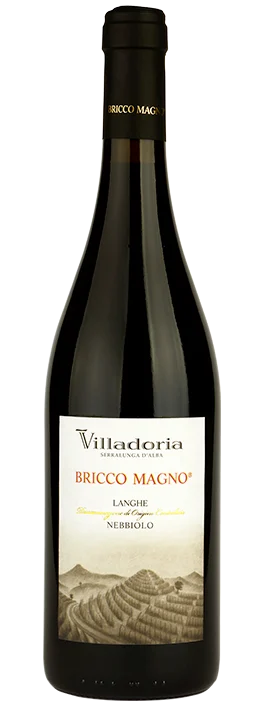 2017 | Villadoria | Bricco Magno Langhe Rosso - Vino