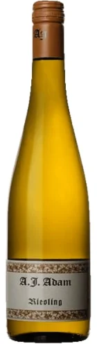 2020 | Weingut A.J. Adam | Riesling Trocken - Wine