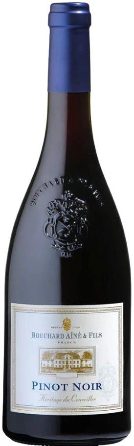 Bouchard Aîné & Fils | Pinot Noir - NV