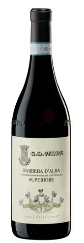 2020 | G.D. Vajra | Viola delle Viole Barbera d'Alba Superiore - Wine