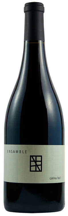 2019 | Paralelo Wines | Ensamble Colina Ba 1