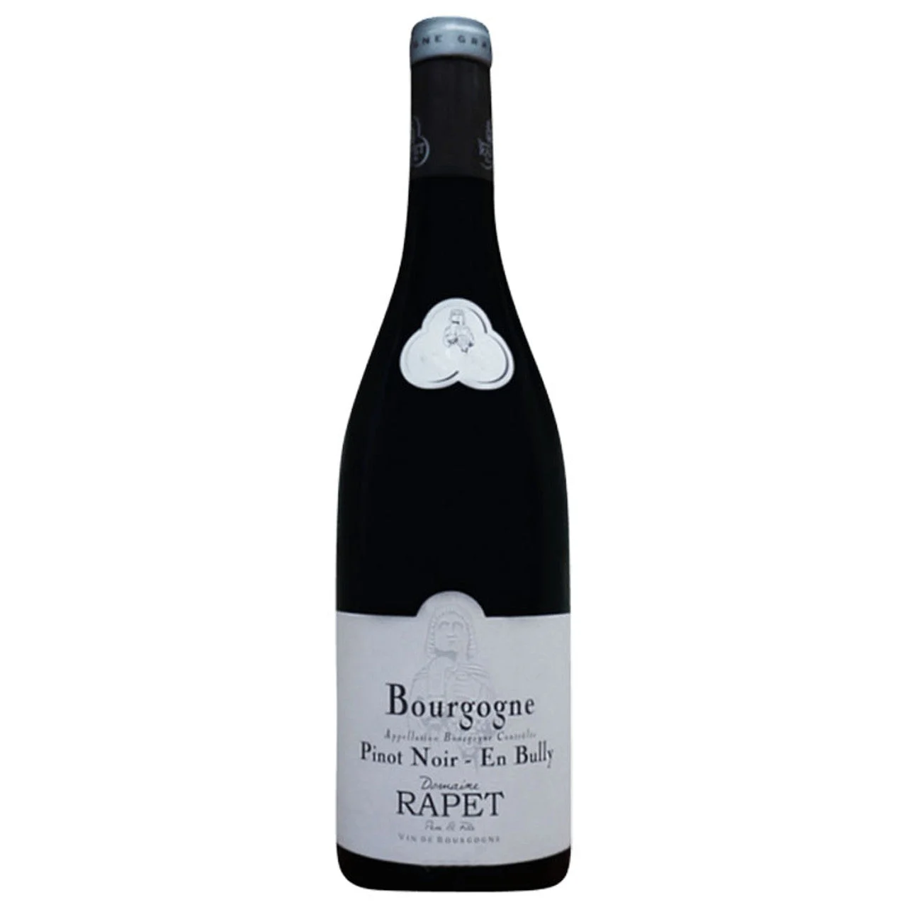 2017 | Domaine Rapet Père et Fils | Bourgogne En Bully - Wine