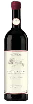 2016 | Valle Reale | Vigneto di Popoli Montepulciano d'Abruzzo - Wine
