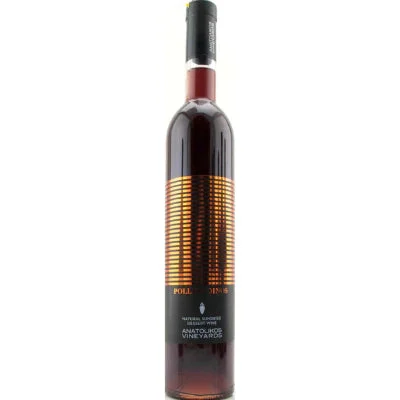 2014 | Anatolikos Vineyards | Pollios Oinos (Half Litre) - Wine