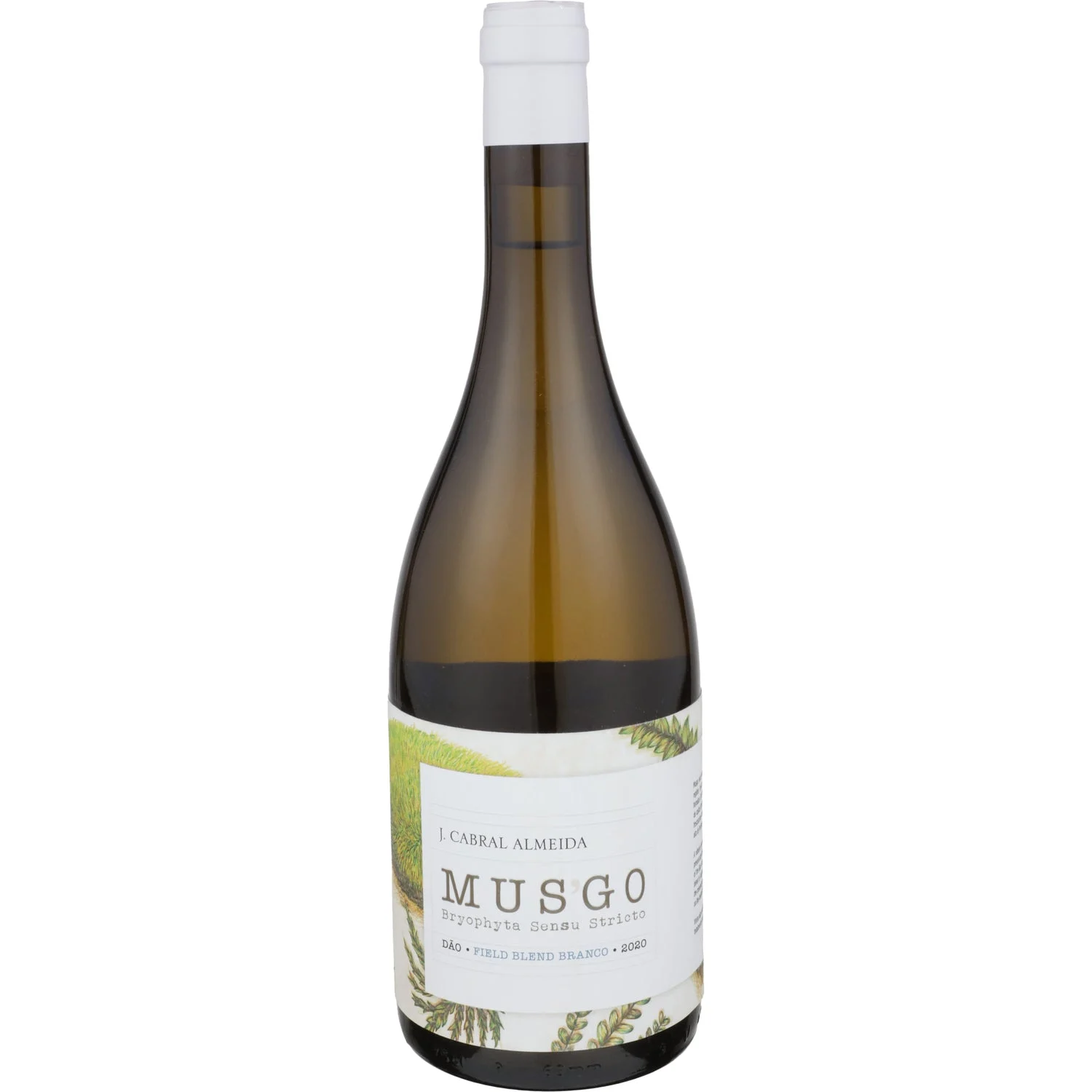 2020 | Joao Cabral Almeida | Musgo Field Blend Branco - Wine