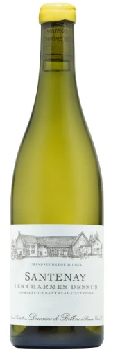 2019 | Domaine de Bellene | Santenay Les Charmes Dessus - Wine