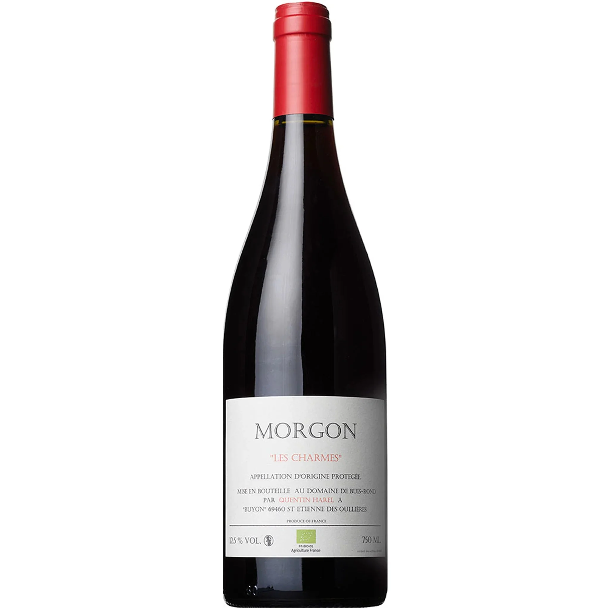2020 | Quentin Harel | Morgon Les Charmes - Wine