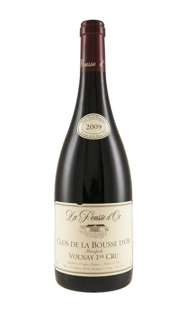 2009 | Domaine de La Pousse d'Or | Clos de la Bousse d'Or - Wine