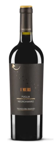 2020 | Farnese Vini | I Muri Negroamaro Puglia - Wine