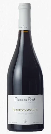 2017 | Domaine Jean Yves Bizot | Bourgogne Rouge - Wine
