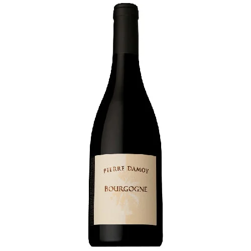 2017 | Domaine Pierre Damoy | Bourgogne Rouge - Wine