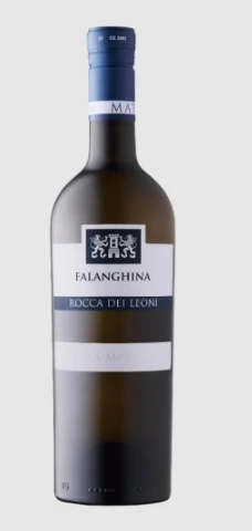 Villa Matilde | Rocca dei Leoni Falanghina - NV