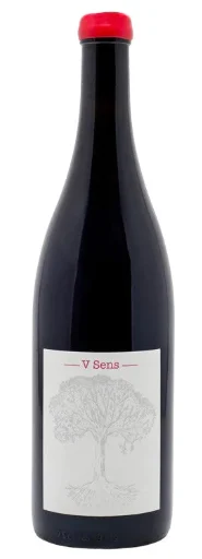 2019 | Domaine de Belle Vue | V Sens - Wine