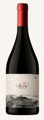 2017 | Otronia | 45 Rugientes - Wine