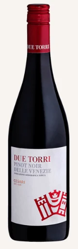 Gerardo Cesari | Duetorri Pinot Noir (Magnum) - NV