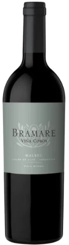 2021 | Viña Cobos | Bramare Lujan de Cuyo Malbec - Vino