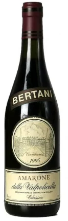 1995 | Bertani | Amarone della Valpolicella Clásico - Wine