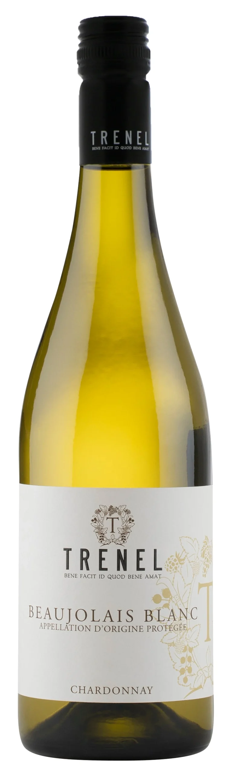 Trenel | Beaujolais Blanc - NV