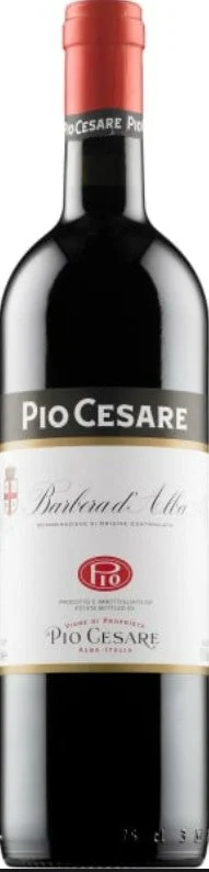 2019 | Pio Cesare | Barbera d'Alba - Wine