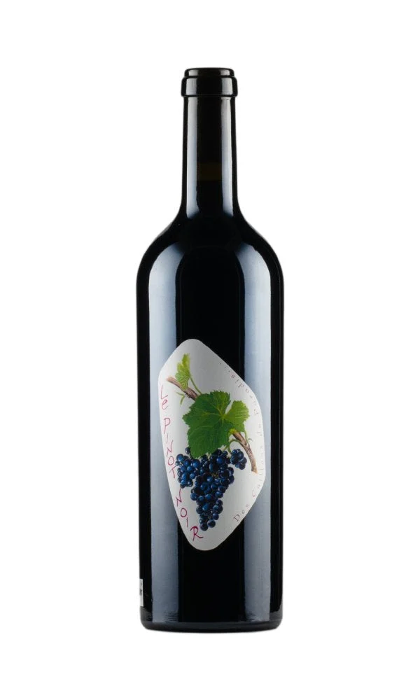 2019 | Etienne Courtois Les Cailloux du Paradis | Pinot Noir - Wine