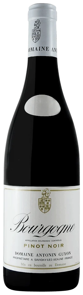 2015 | Domaine Guyon | Bourgogne Pinot Noir - Wine