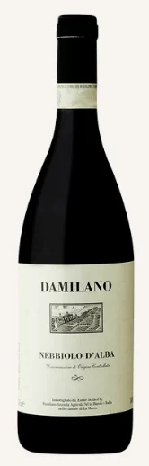 2019 | Damilano | Nebbiolo d'Alba - Wine