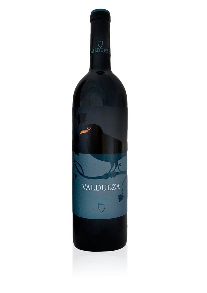 2019 | Marqués de Valdueza | El Canto De Los Pajaros Estate Bottled Spain - Wine