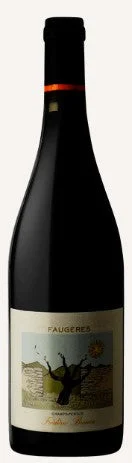2018 | Domaine Frederic Brouca | Faugeres Champs Pentus - Wine